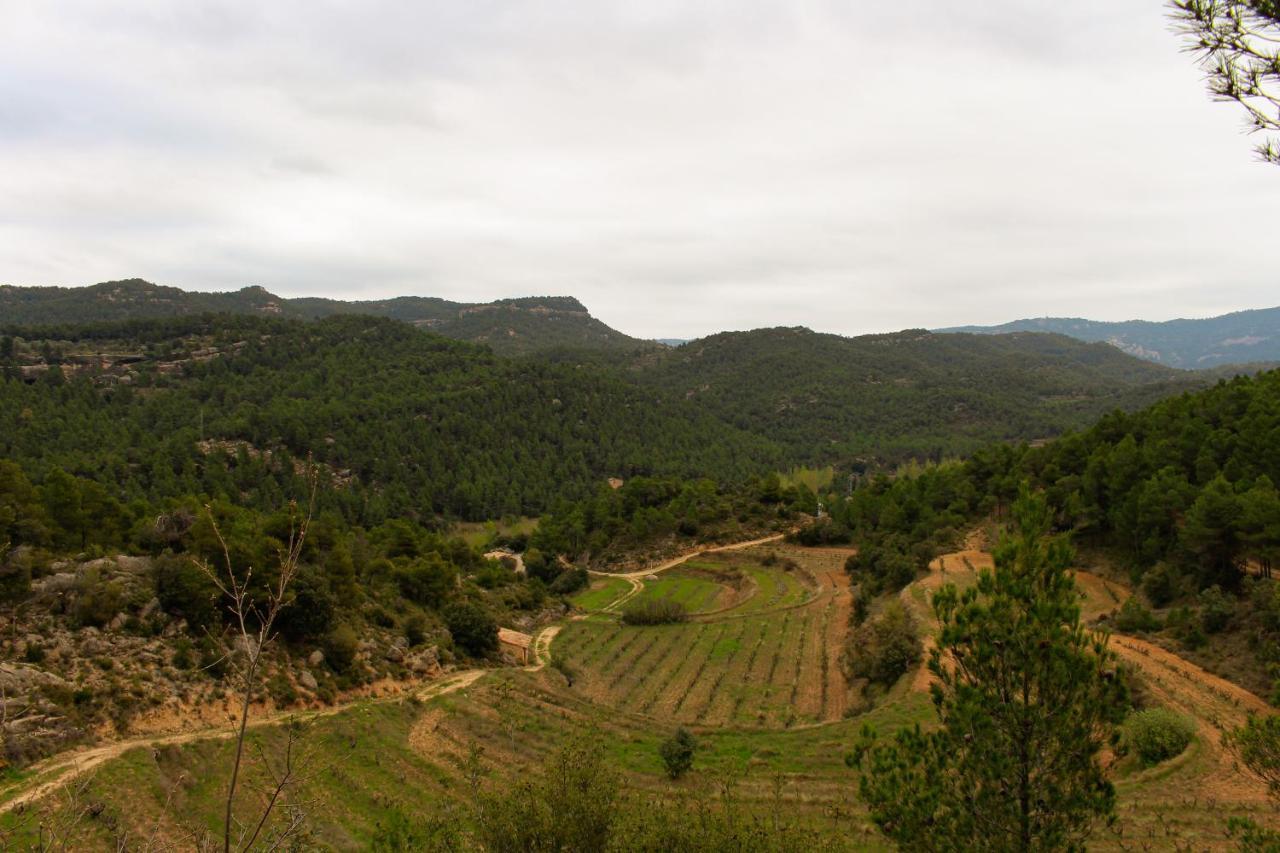 Torre Del Marques Hotel Spa & Winery - Small Luxury Hotels 蒙罗约 外观 照片