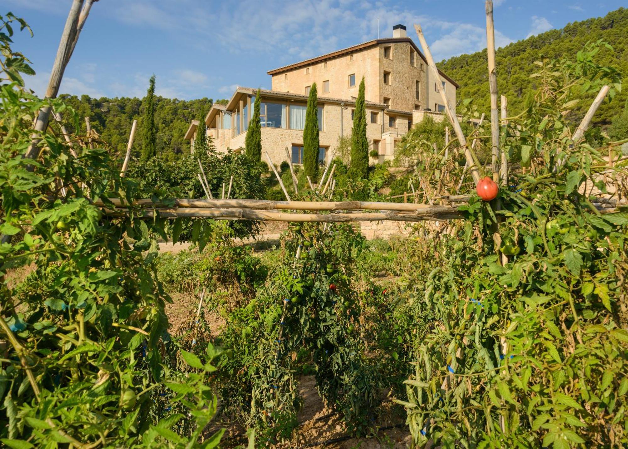 Torre Del Marques Hotel Spa & Winery - Small Luxury Hotels 蒙罗约 外观 照片